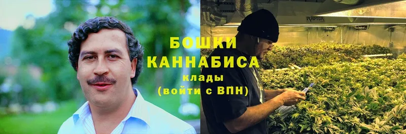 Шишки марихуана Bruce Banner  Печора 